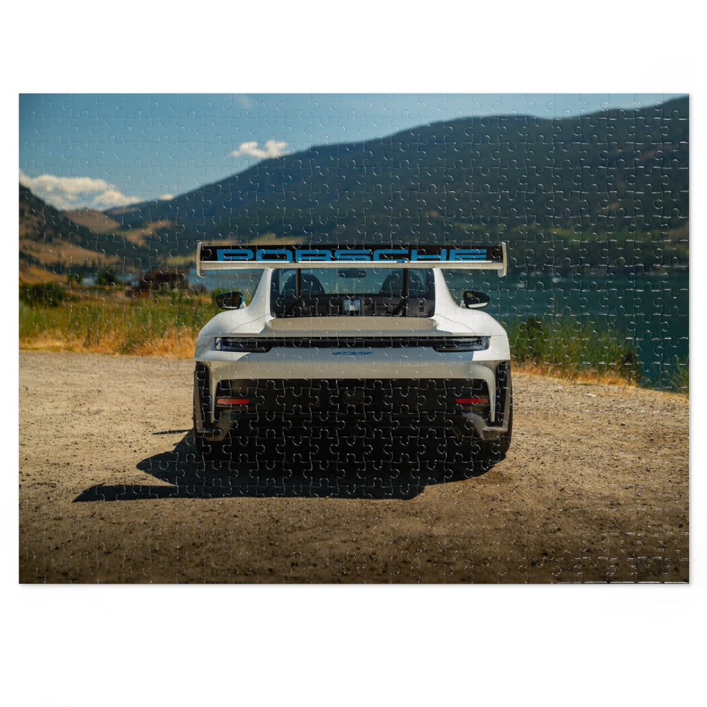 Taking in the view | 992 GT3RS