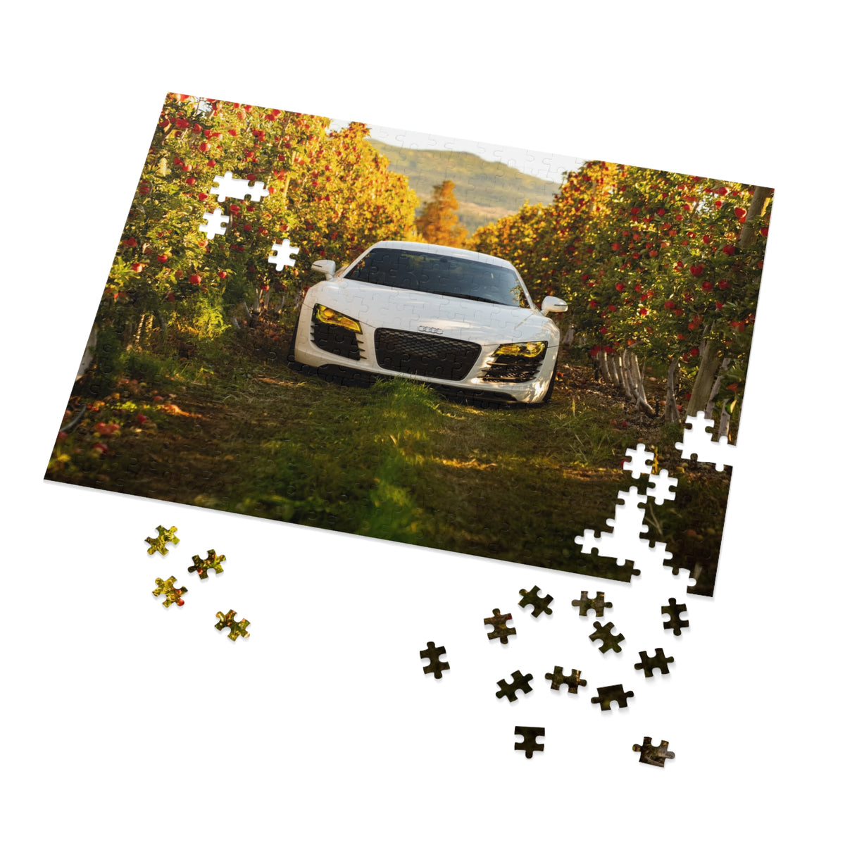 The Apple of my eye | Audi R8