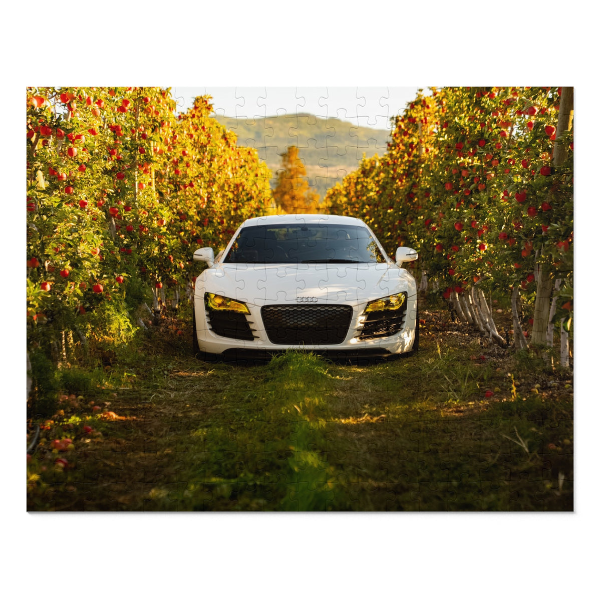 The Apple of my eye | Audi R8