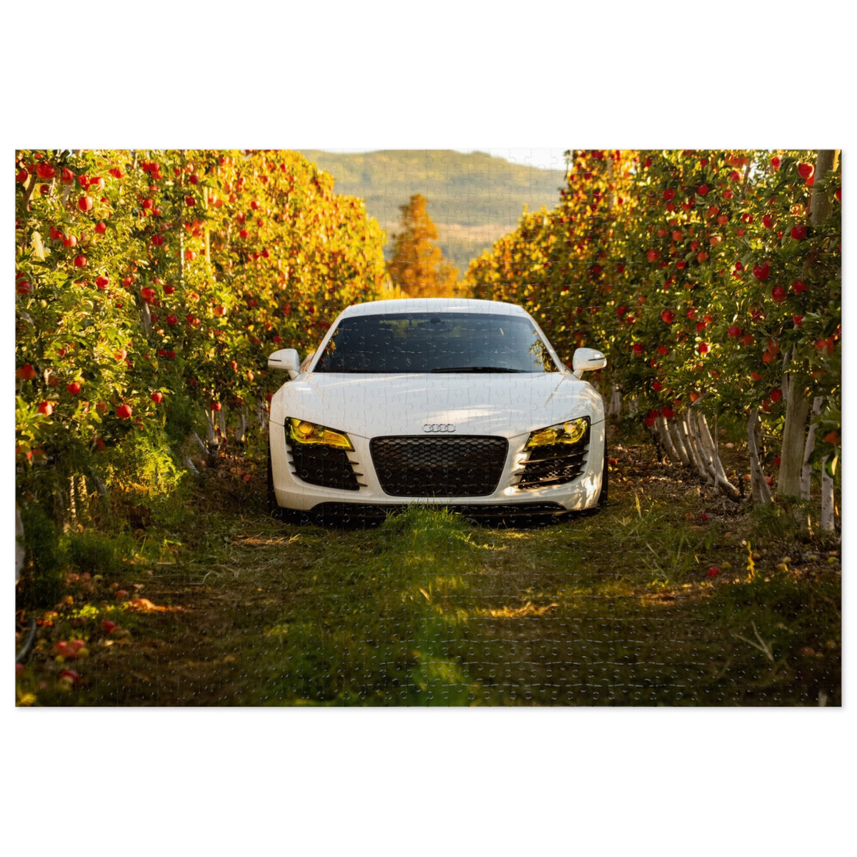 The Apple of my eye | Audi R8